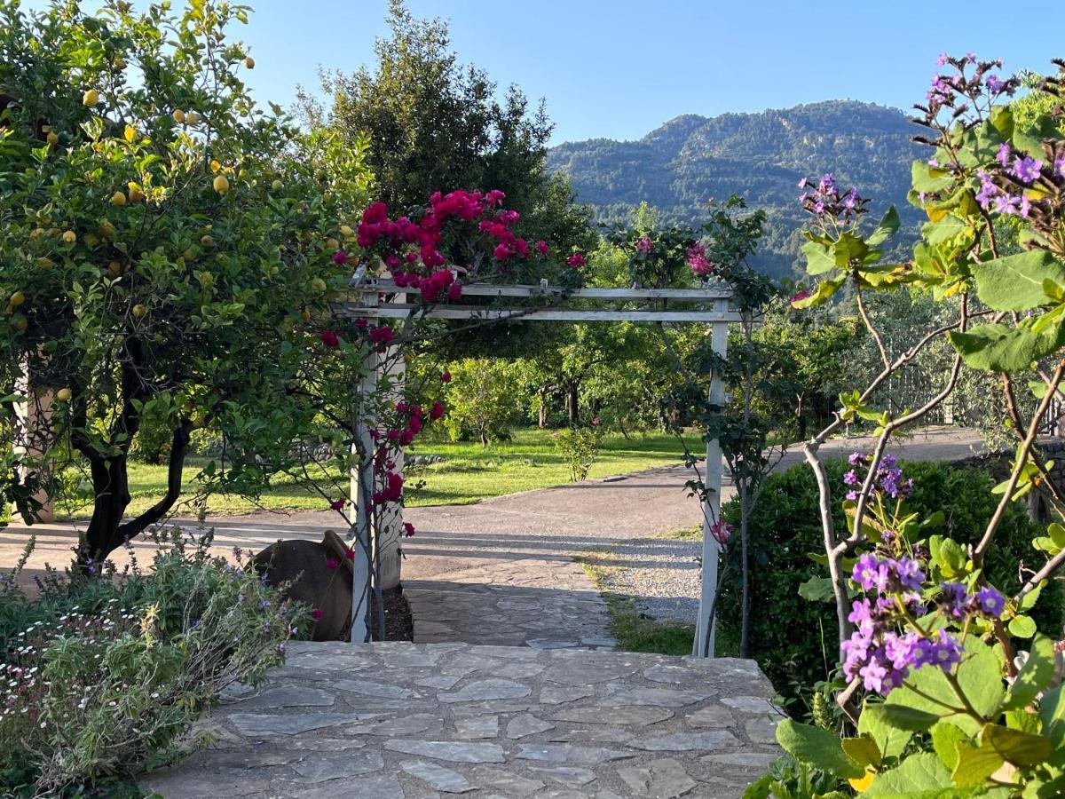 Cas Puput Mallorca Sóller Екстериор снимка